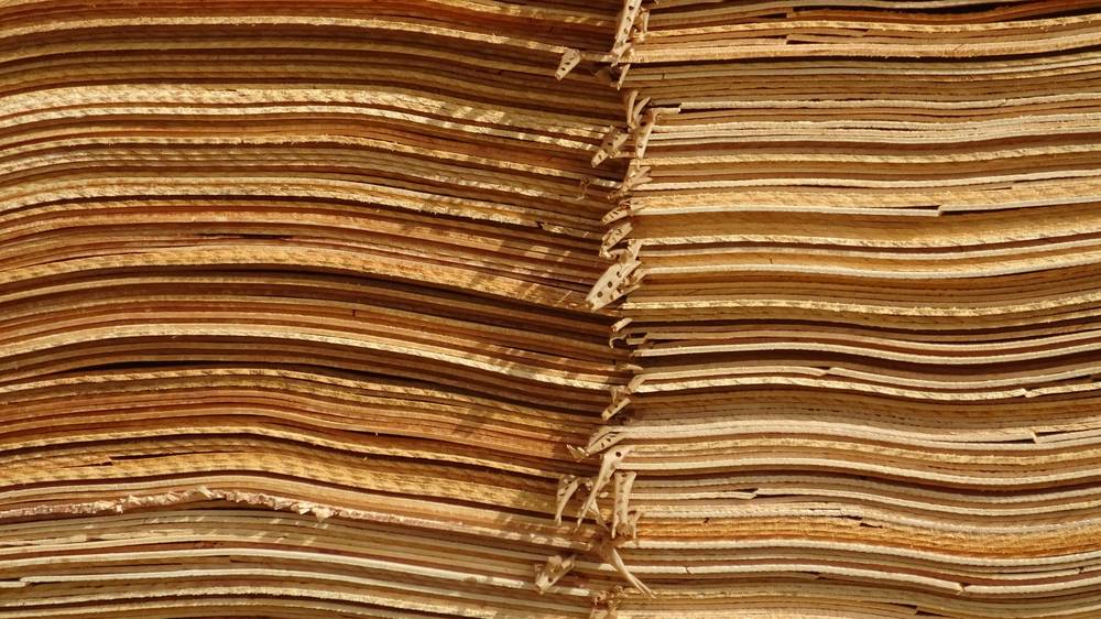Stack of appeal documents on a wooden desk
